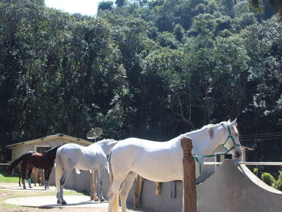 Hotel Fazenda Apm Caieiras Buitenkant foto
